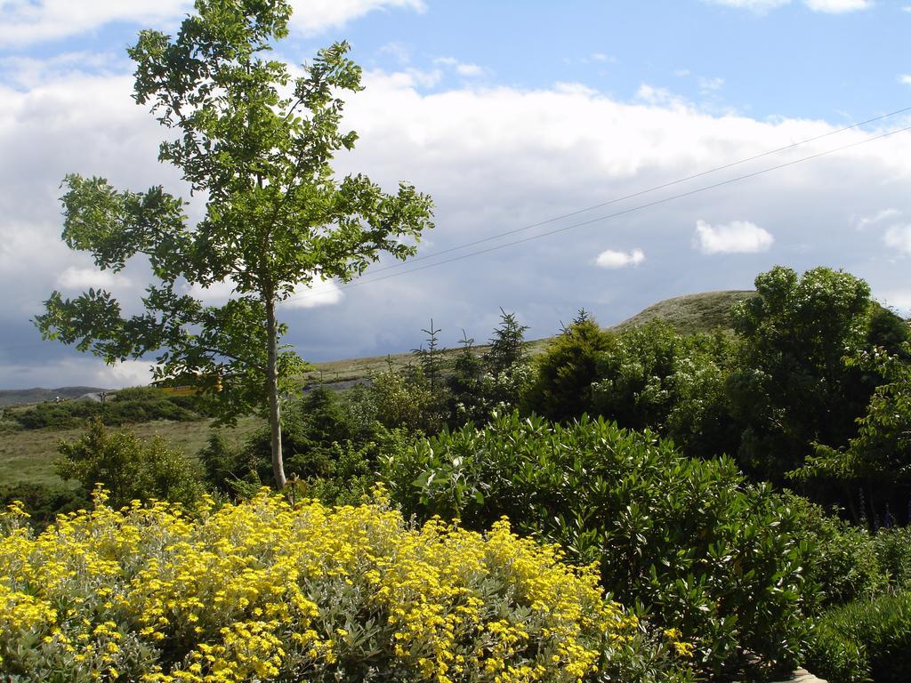 Ben Breen House B&B Clifden Ngoại thất bức ảnh